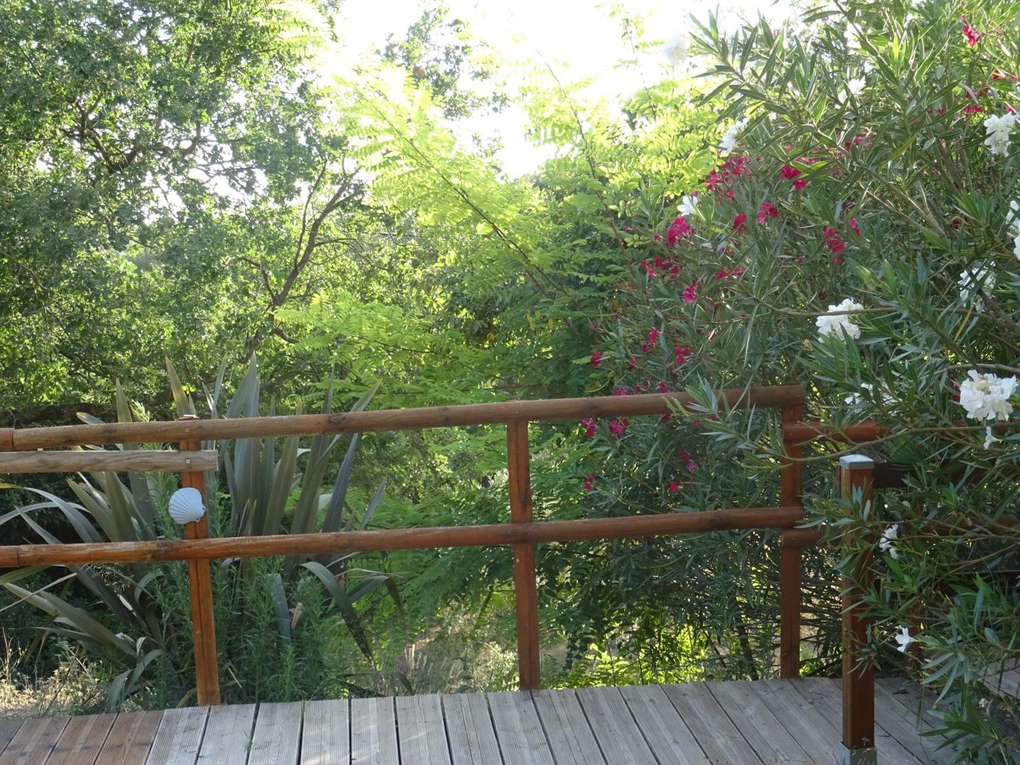 Vila Les Ecrins D'Aix-En-Provence Exteriér fotografie