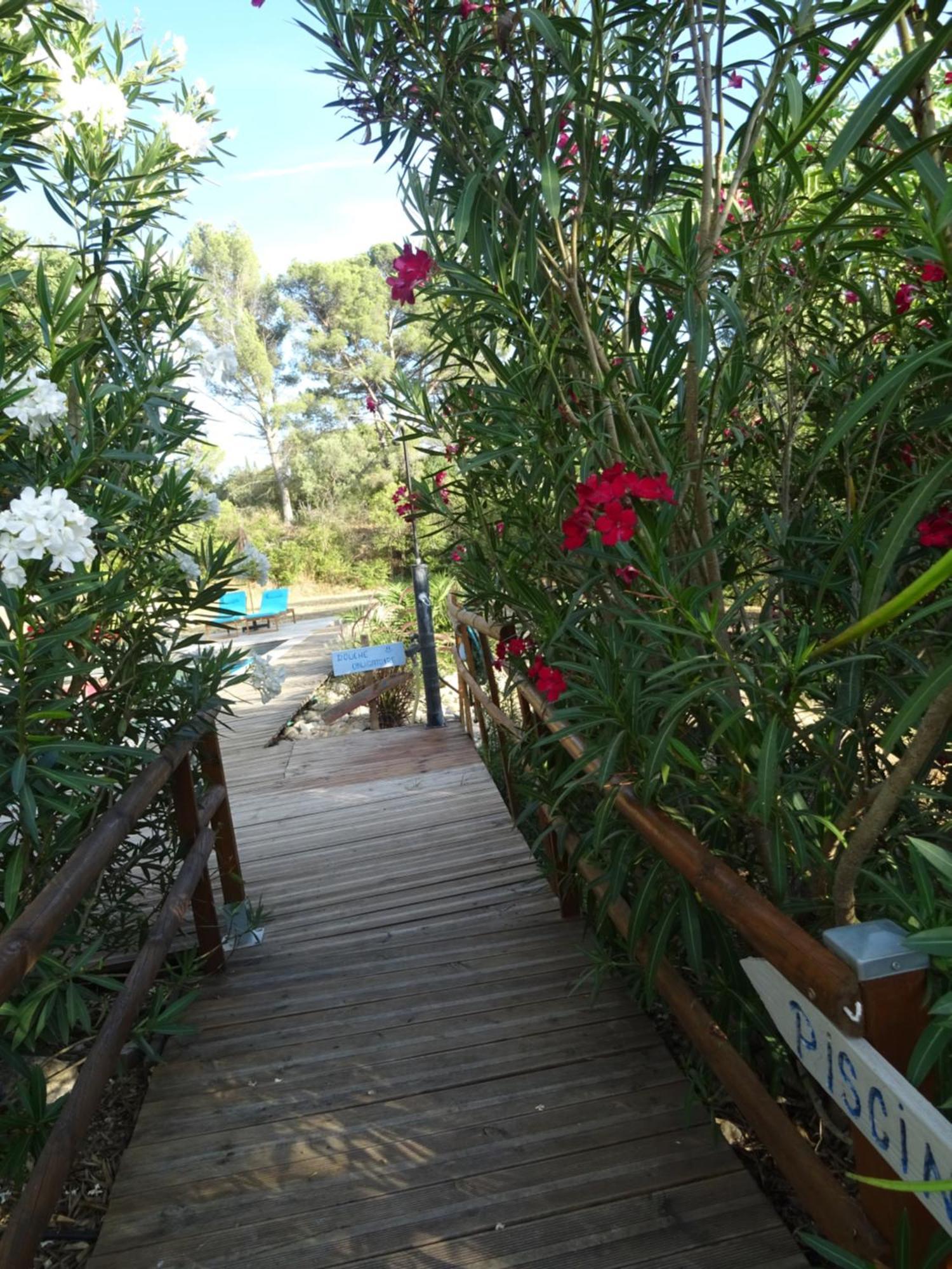 Vila Les Ecrins D'Aix-En-Provence Exteriér fotografie